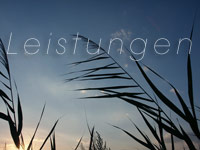 Leistungen